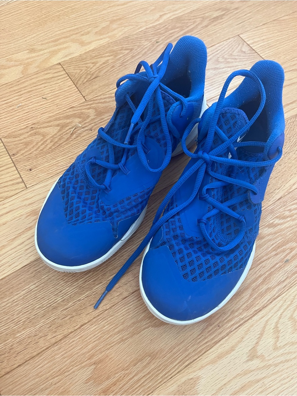 Nike Royal Blue Sneakers